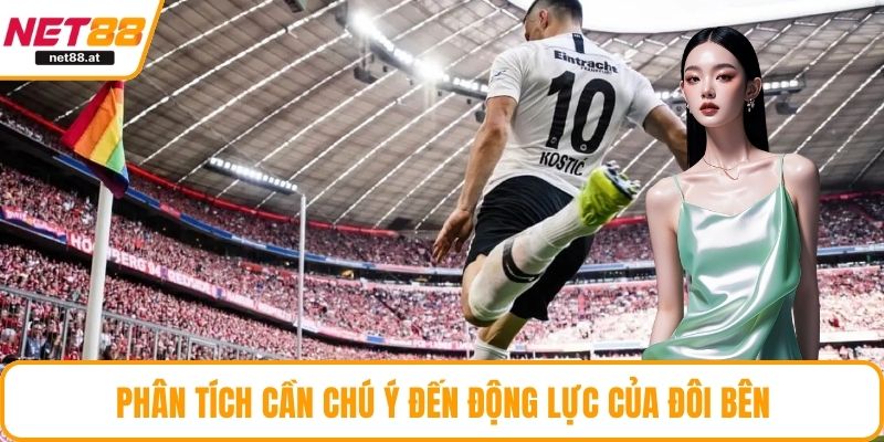 Phân tích cần chú ý đến động lực của đôi bên
